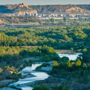 Río Cinca a su paso por Monzón